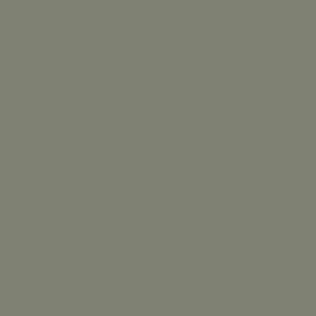PREORDER olive dress | vetiver | modal